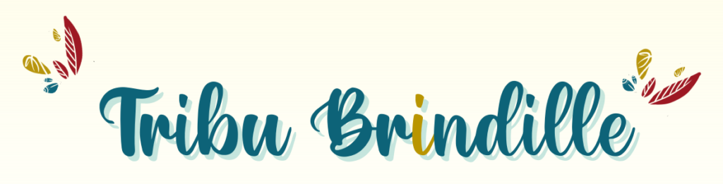 Logo Tribu Brindille, regroupement des jeunes aidants